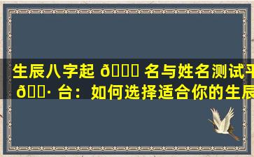 生辰八字起 🍀 名与姓名测试平 🌷 台：如何选择适合你的生辰名字打分查询服务
